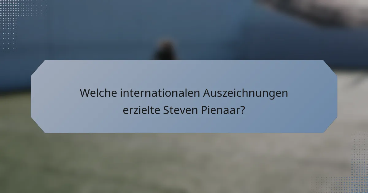 Welche internationalen Auszeichnungen erzielte Steven Pienaar?