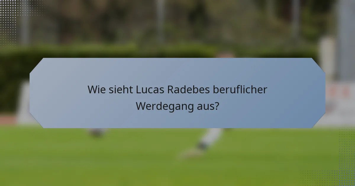 Wie sieht Lucas Radebes beruflicher Werdegang aus?